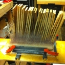 Whale Baleen